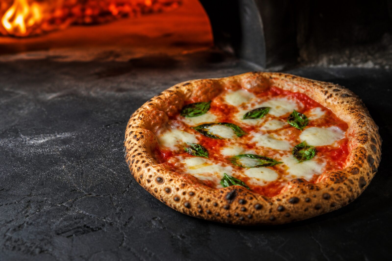 A freshly baked Margherita, blistered crust, basil on top